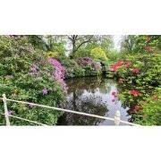 Tuinschilderij bloemenvijver 70x50