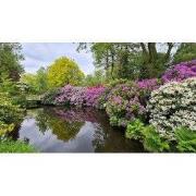 Tuinschilderij bloemenweelde 70x50