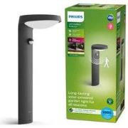 Tyla ir sokkel antra solar