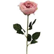 Kunst engelse roos zalm roze, 59 cm