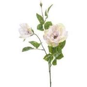 Rose liza spray x3 lt purple 80 cm