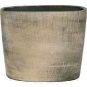 HS Potterie Hamar Groen Goud - cm