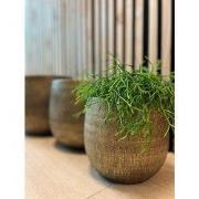 HS Potterie Bloempot Miami Goud - H21