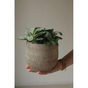 HS Potterie Bloempot Miami Grijs Bruin - H30