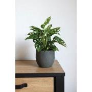 HS Potterie Pot Avion Antraciet - 22