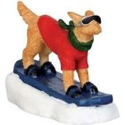 Snowboarding dog