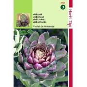 2 stuks - Artisjok Violet De Provence
