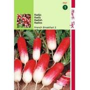 2 stuks - Radijs Halflange Rode Groot Witpunt