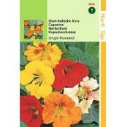 2 stuks - Tropaeolum majus Enkelbloemig mengsel