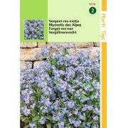 2 stuks - Myosotis Alpestris Blauw