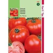2 stuks - Tomaten St. Pierre grote vollegrondse
