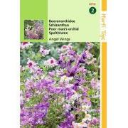 2 stuks - Schizanthus Wisetonensis Angel Wings