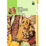 2 stuks - HT Zea mays, Siermais Little Jewels