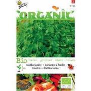 5 stuks - Organic Koriander (Skal 14725)