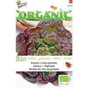 5 stuks - Organic Kropsla Wonder 4 jaargetijden (Skal 14275)