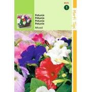 2 stuks - Petunia Hybrida Nana Compacta Gem.