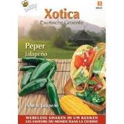 3 stuks - Xotica peper jalapeno