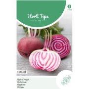 2 stuks - Bieten Chioggia