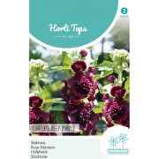 Zaden althaea fl.pl. chater's deep purple 0.25 gram