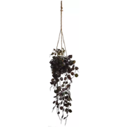 Small leaves in hanging pot lavender
