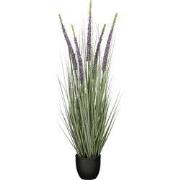 Mica Decorations Eremurus – Kunstgras in Pot – Realistische Nepplant W...