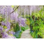 Buiten Canvas 58 x 78 cm Blauwe Regen