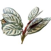 Bladeren peacock 35 cm kunsttak