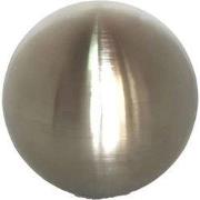 Deco Heksenbol Zilver Mat Roestvrij Staal 25 cm