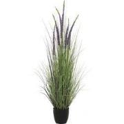 Eremurus gras in pot 140 cm kunstplant