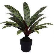 Calathea insignis 55 cm kunstplant