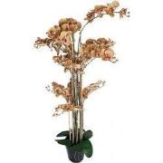 Phalaenopsis Orchidee in pot 140 cm Tiger Yellow kunstplant