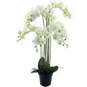 Phalaenopsis Orchidee in pot 110 cm Wit kunstplant