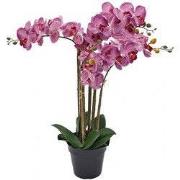 Phalaenopsis Orchidee in pot x5 60 cm Tiger Cerise kunstplant