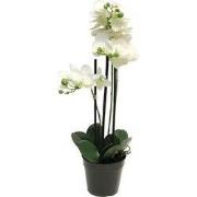 Phalaenopsis orchidee in pot 60 cm wit kunstplant
