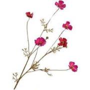 Cosmos beauty 77 cm kunstbloem