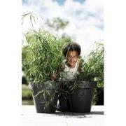 Bloempot Pure round 60 antraciet
