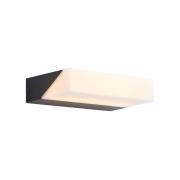 Lucande - Golnar LED BuitenWandlamp Anthracite