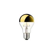 Design By Us - Lichtbron LED 3,5W Globe Gold E27