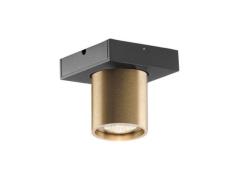 LIGHT-POINT - Focus 1 LED Plafondlamp 3000K Brass