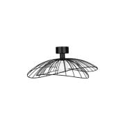 Globen Lighting - Ray 60 Wand-/Plafondlamp Zwart