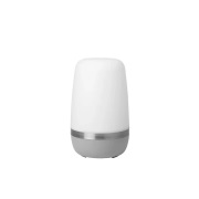 Blomus - Spirit Portable Buiten Lamp L Platinum Gray