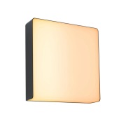 Paulmann - Azalena Buiten Wandlamp Zigbee SWR Antraciet