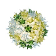 Kartell - Bloom Cw2 Wandlamp/Plafondlamp Mint