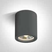 ONE Light PAR30 Outdoor - opbouwspot 1L - Ø 12,2 x 16 cm - IP65 - antr...