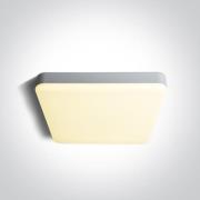 ONE Light Plafo - plafondverlichting - 35 x 35 x 5,5 cm - 35W LED incl...
