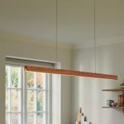 Nordlux Ilgas - hanglamp - 115 x 200 x 4,4 cm - 47W dimbare LED incl. ...